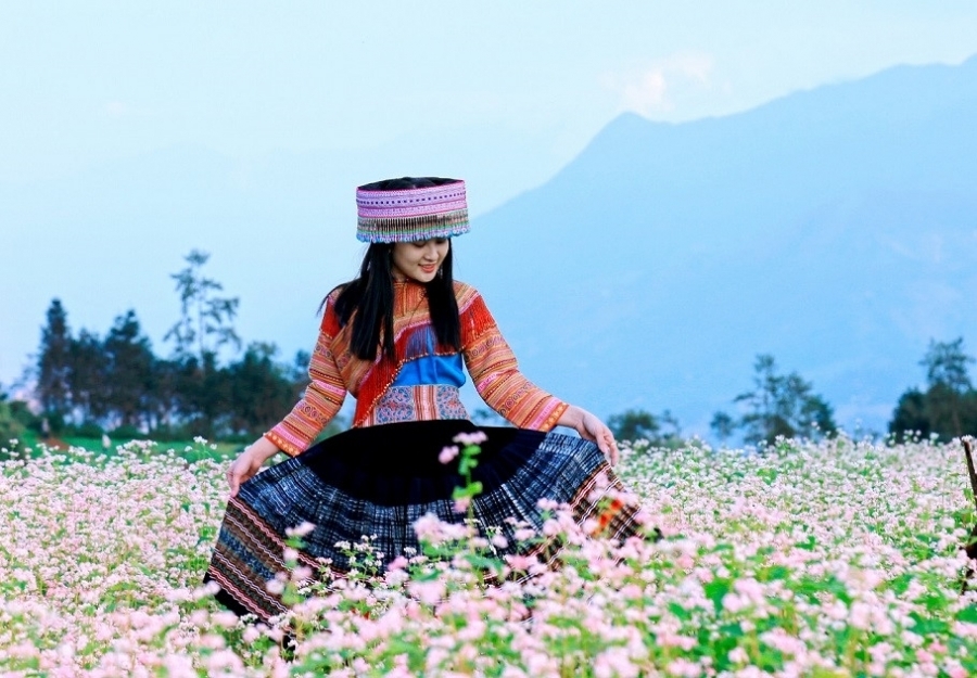 TP. HỒ CHÍ MINH - PHÚ THỌ - TUYÊN QUANG - HÀ GIANG - CAO BẰNG - LẠNG SƠN