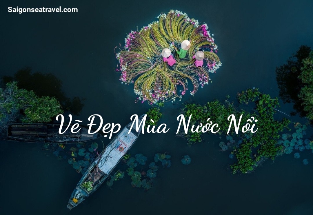 TP. HỒ CHÍ MINH - RỪNG TRÀM TRÀ SƯ AN GIANG - MÙA NƯỚC NỔI VÀM NAO