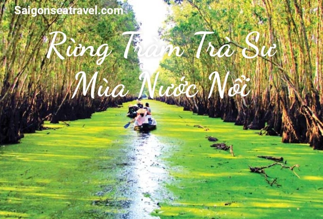 TP. HỒ CHÍ MINH - RỪNG TRÀM TRÀ SƯ - MÙA NƯỚC NỔI VÀO NAO - CẦN THƠ