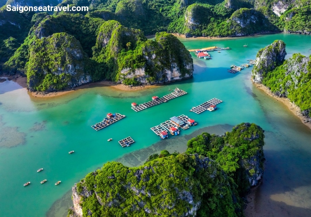 TP. HỒ CHÍ MINH - NGHỈ DƯỠNG DU THUYỀN 5 SAO ĐẲNG CẤP NHẤT VỊNH HẠ LONG