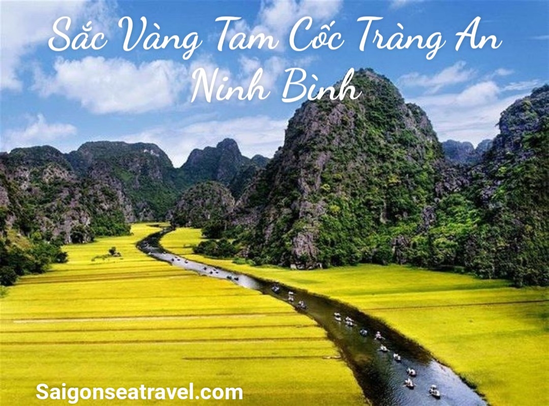 TP. HỒ CHÍ MINH - HÀ NỘI 36 PHỐ PHƯỜNG - NINH BÌNH - TAM ĐẢO VĨNH PHÚC