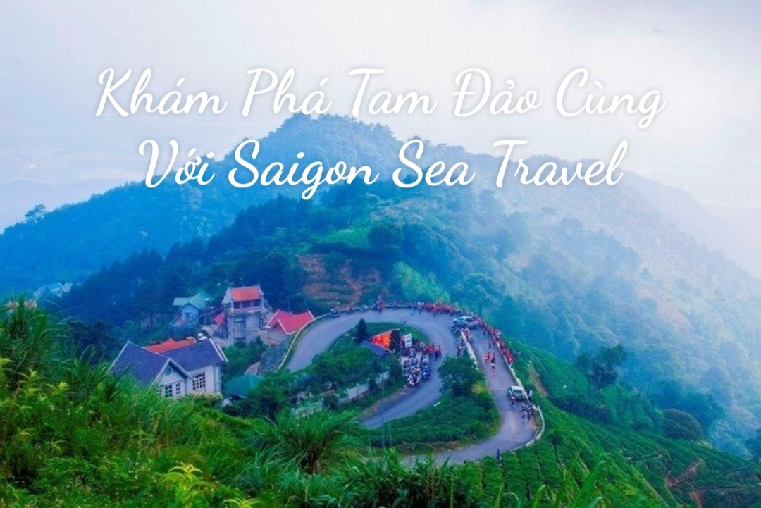 TP. HỒ CHÍ MINH - HÀ NỘI 36 PHỐ PHƯỜNG - NINH BÌNH - TAM ĐẢO VĨNH PHÚC