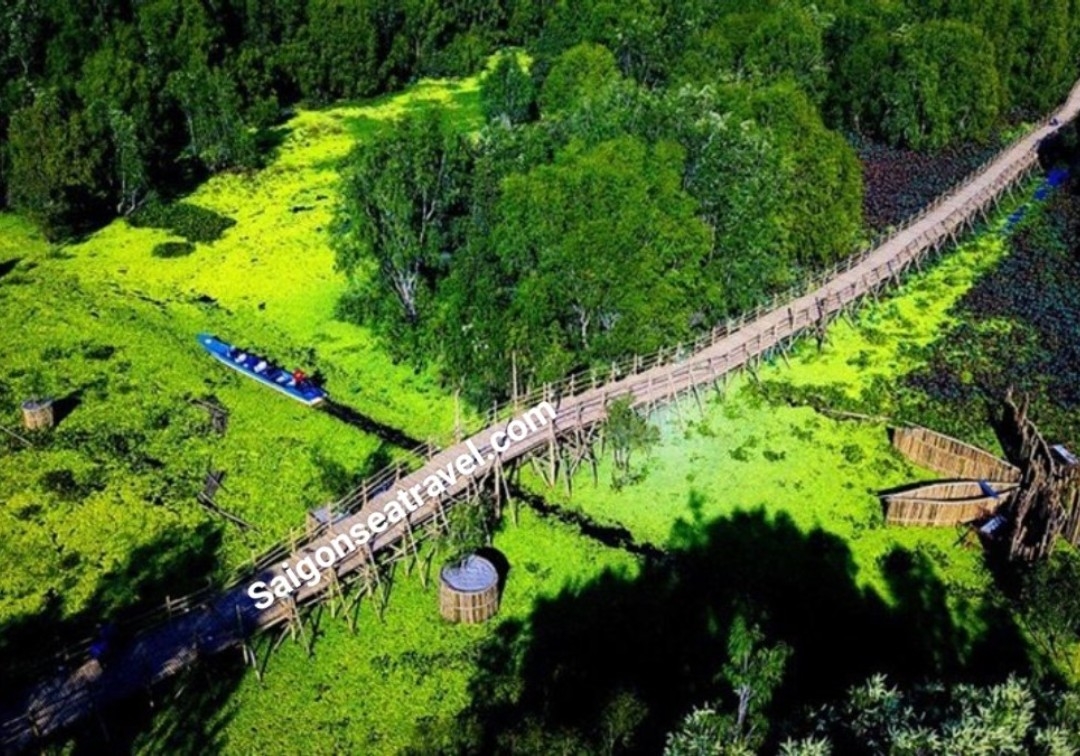 TP. HỒ CHÍ MINH - RỪNG TRÀM TRÀ SƯ AN GIANG - MÙA NƯỚC NỔI VÀM NAO