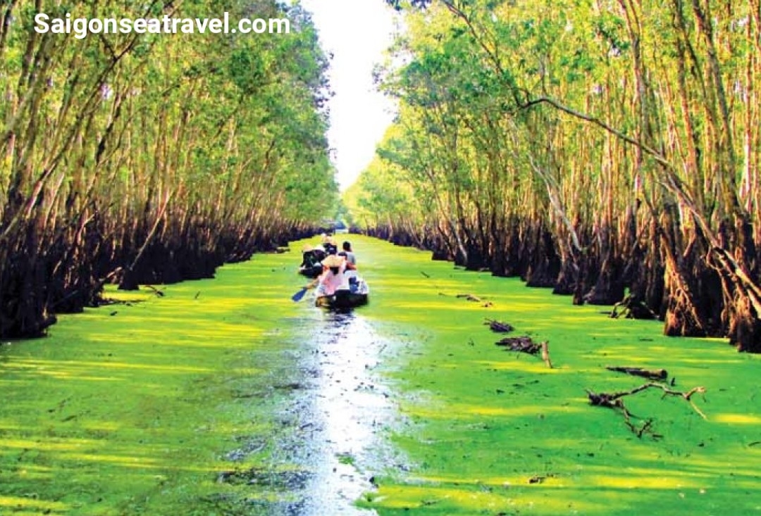 TP. HỒ CHÍ MINH - RỪNG TRÀM TRÀ SƯ AN GIANG - MÙA NƯỚC NỔI VÀM NAO