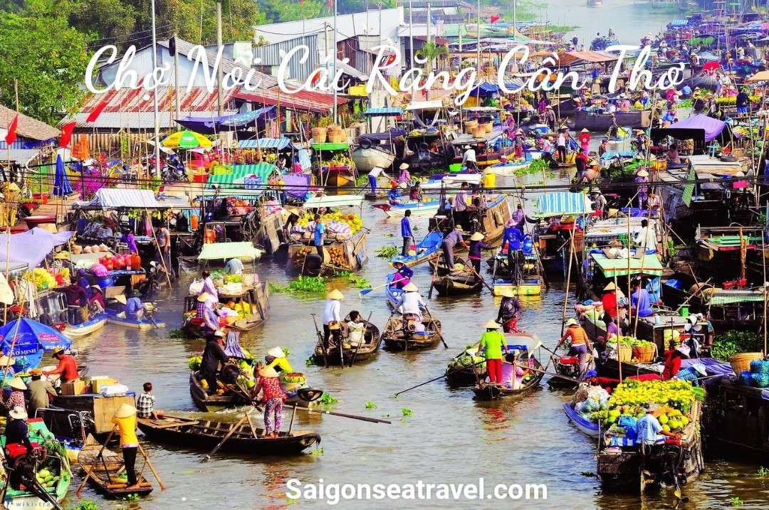 TP. HỒ CHÍ MINH - RỪNG TRÀM TRÀ SƯ - MÙA NƯỚC NỔI VÀO NAO - CẦN THƠ