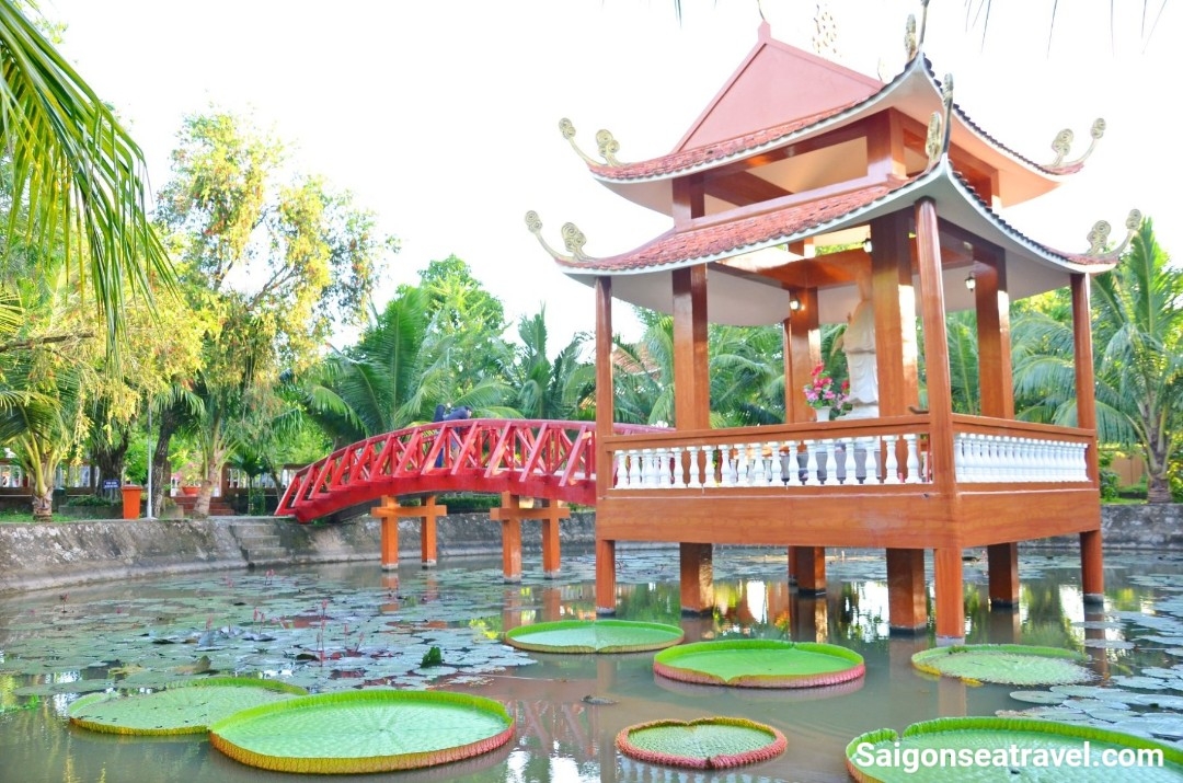 TP. HỒ CHÍ MINH - RỪNG TRÀM TRÀ SƯ - MÙA NƯỚC NỔI VÀO NAO - CẦN THƠ